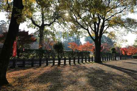 上賀茂神社・秋の静けさ