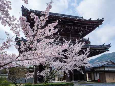 桜咲く清凉寺