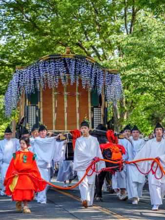 賀茂神社　伝統例祭「葵祭」　～牛車～