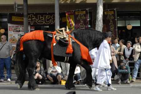 時代祭　街中を闊歩する馬