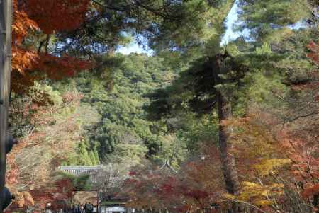 秋の永観堂の紅葉と大文字山