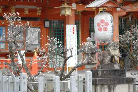 長岡天満宮社殿正面の梅と狛犬