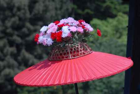 葵祭　花傘3