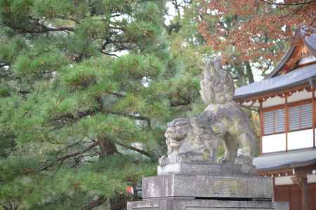 藤森神社 狛犬1