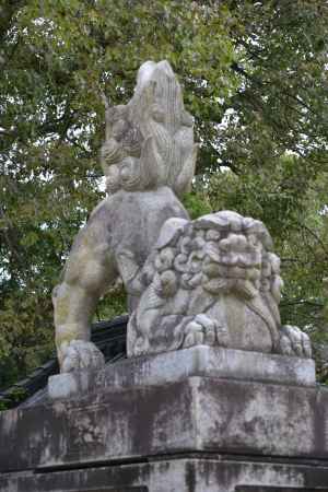 藤森神社 狛犬4