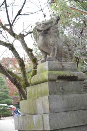 藤森神社 狛犬8