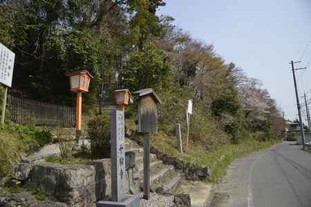 京都　西山　十輪寺