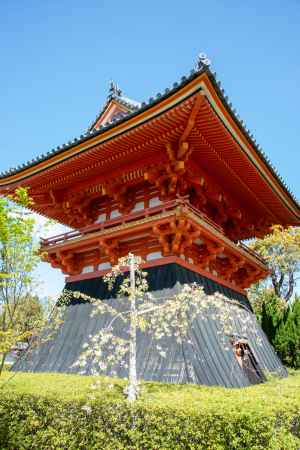 仁和寺　春の鐘楼