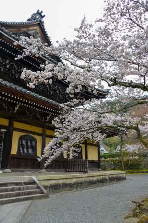 南禅寺に訪れた春