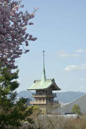 桜と祇園閣