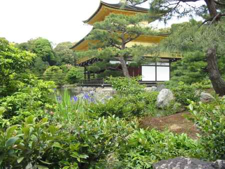 春の金閣寺の庭