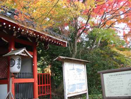 秋の金蔵寺