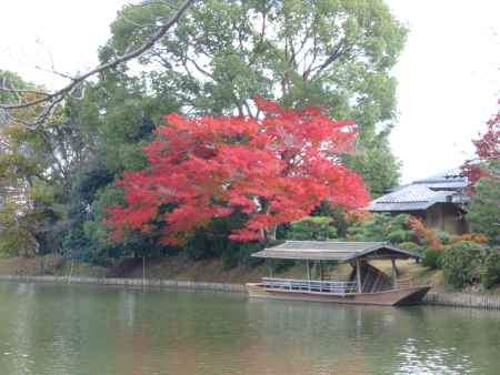 大沢池の紅葉