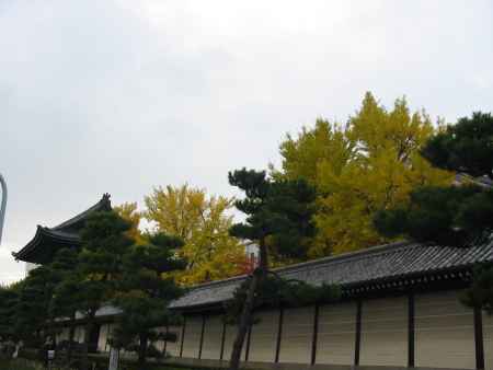 東本願寺の紅葉