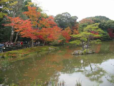 秋の金閣寺鏡湖池