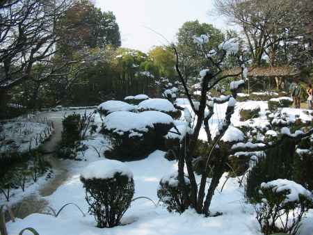 雪の庭園