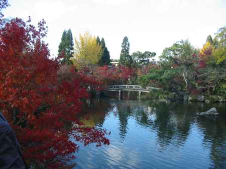 永観堂 池と紅葉