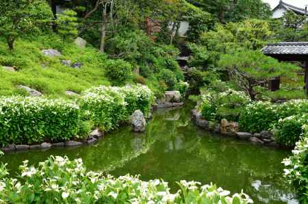 祇園の緑庭、夏化粧