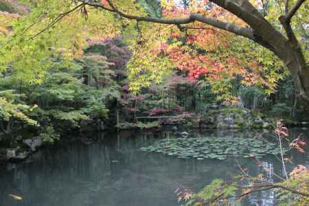池と紅葉と秋