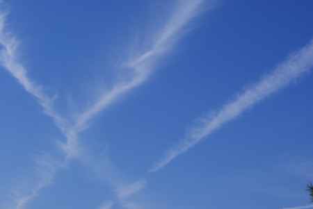 仁和寺の飛行機雲