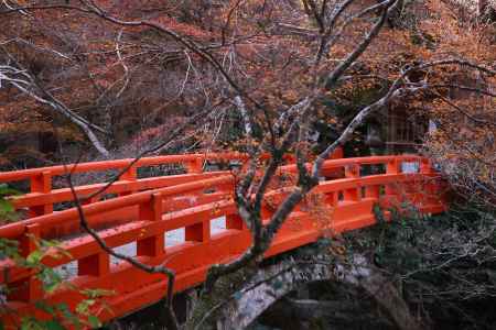京都の橋　高雄山　西明寺の指月橋