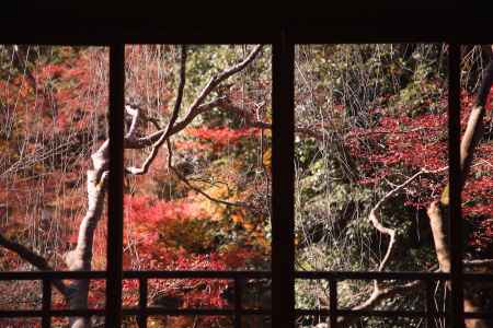 秋の京都　窓からの紅葉の景色