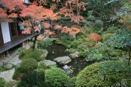 宝泉院の秋　鶴亀庭園