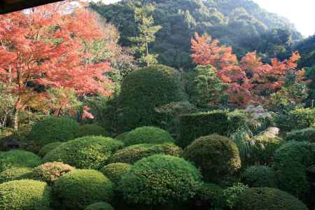 安楽寺の秋の庭園