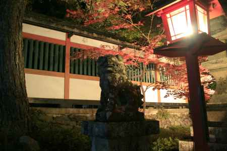 亀岡の鍬山神社　ライトアップ