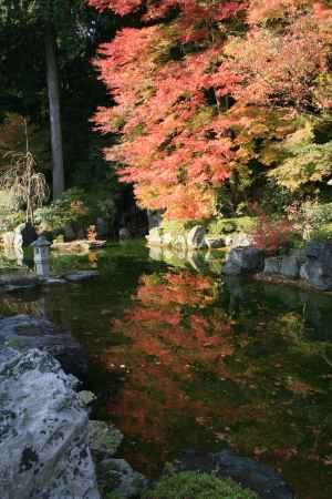 池に映る紅葉