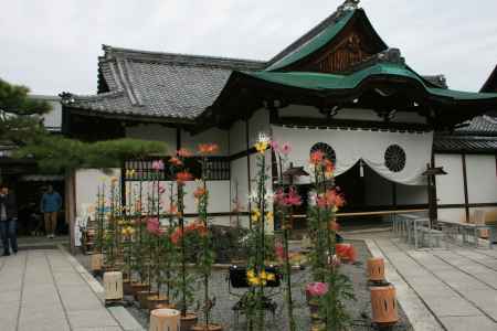 大覚寺の菊の花