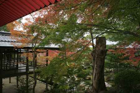 大覚寺　秋の庭