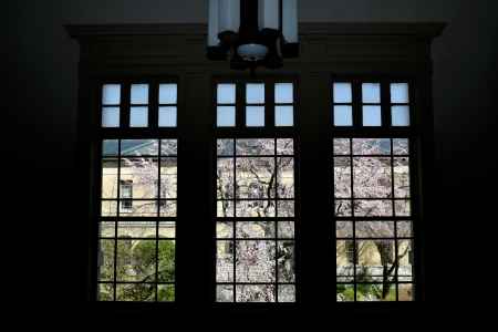 京都府庁旧本館の窓