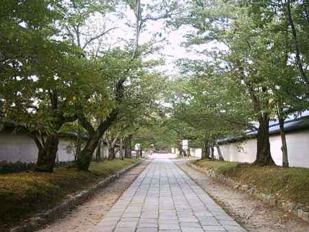 醍醐寺の参道