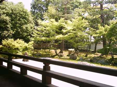 相国寺の庭園