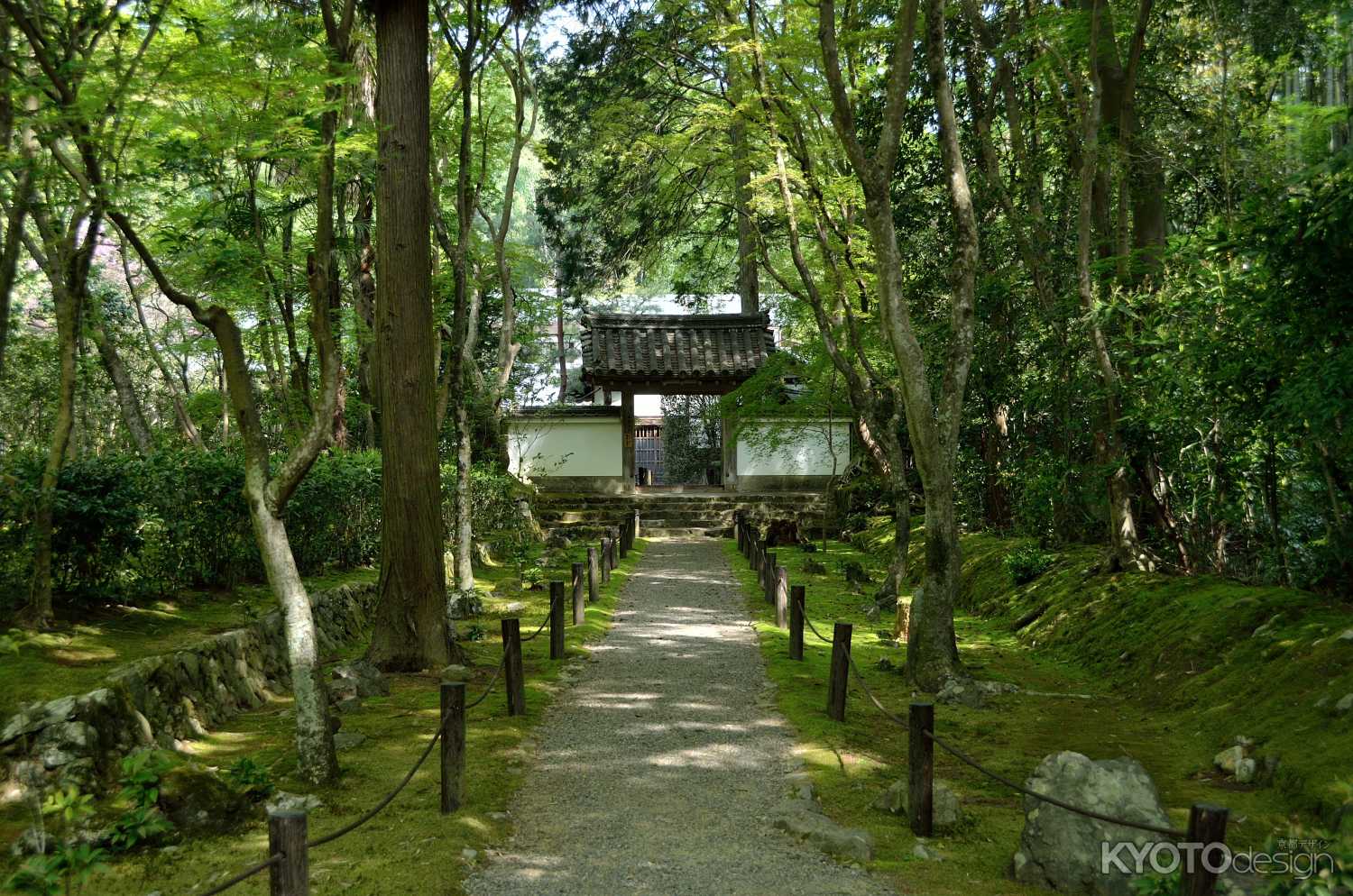 竹の寺　地蔵院