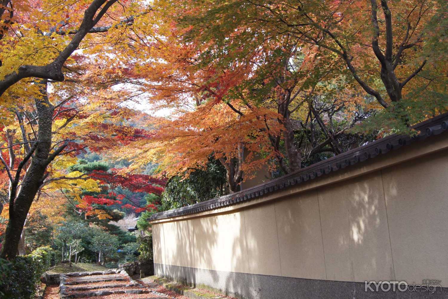 京都市の紅葉（嵯峨小倉陵付近）