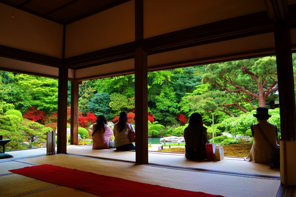 青蓮院の庭園