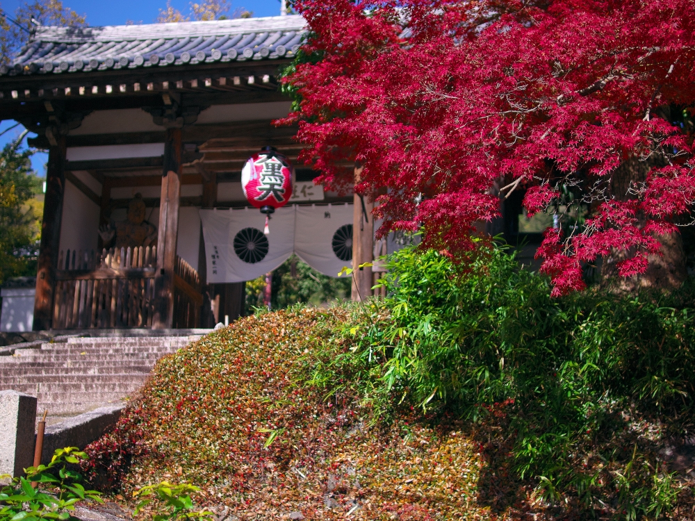 宝積寺