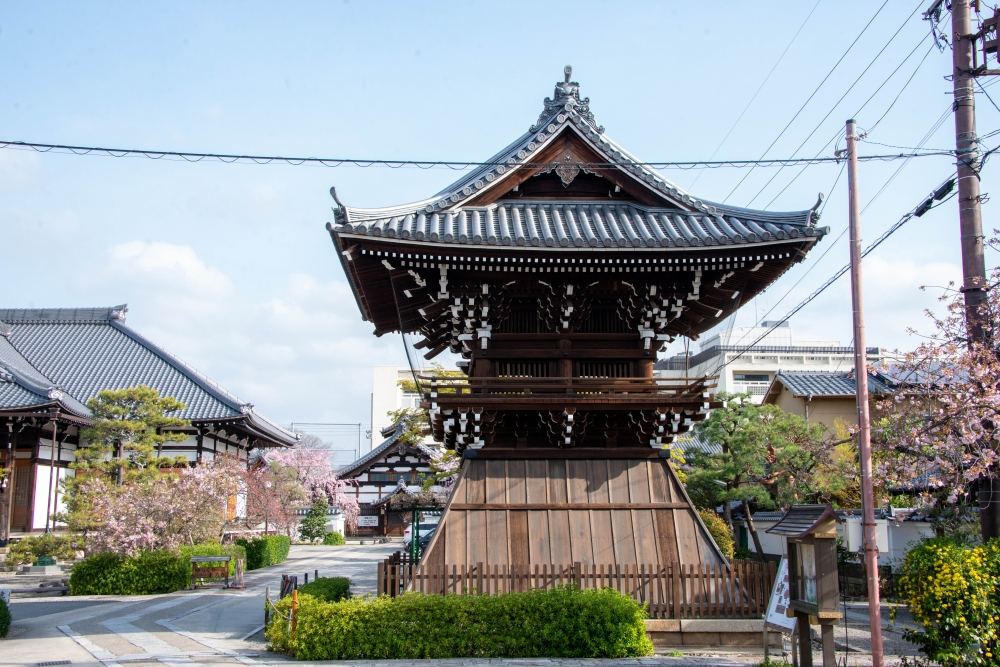 妙蓮寺