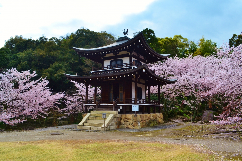 京都観光スポットと京都観光ガイド、無料の京都写真ギャラリーなど、京都観光情報満載のポータルサイト              勧修寺 書院特別公開