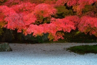 「 石庭の紅葉 」　by Hirobee