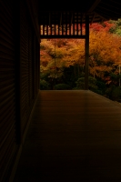 「 紅葉　廊下の先に 」　by のほほん京都