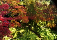 「 瑠璃の庭園 」　by 城山 勉