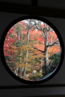 「 やっぱり京都の紅葉 」　by オリオン