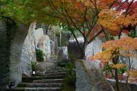 「 「紅葉」への階段 」　by minmi