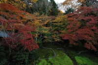 「 秋色の庭 」　by パンナコッタ