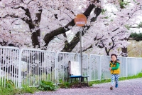 『 「桜だ〜！！」 』　作者名： 平井 嵩記 さん