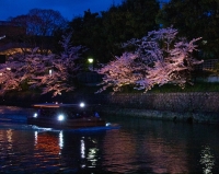 「 疎水夜桜 」　by 多摩旅人