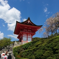 「 清水寺と桜の京都 」　by プリズム